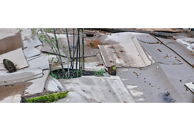 Mulcirea cartonului în grădină - avantaje și dezavantaje