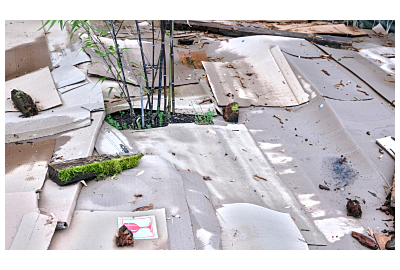 Mulcirea cartonului în grădină - avantaje și dezavantaje