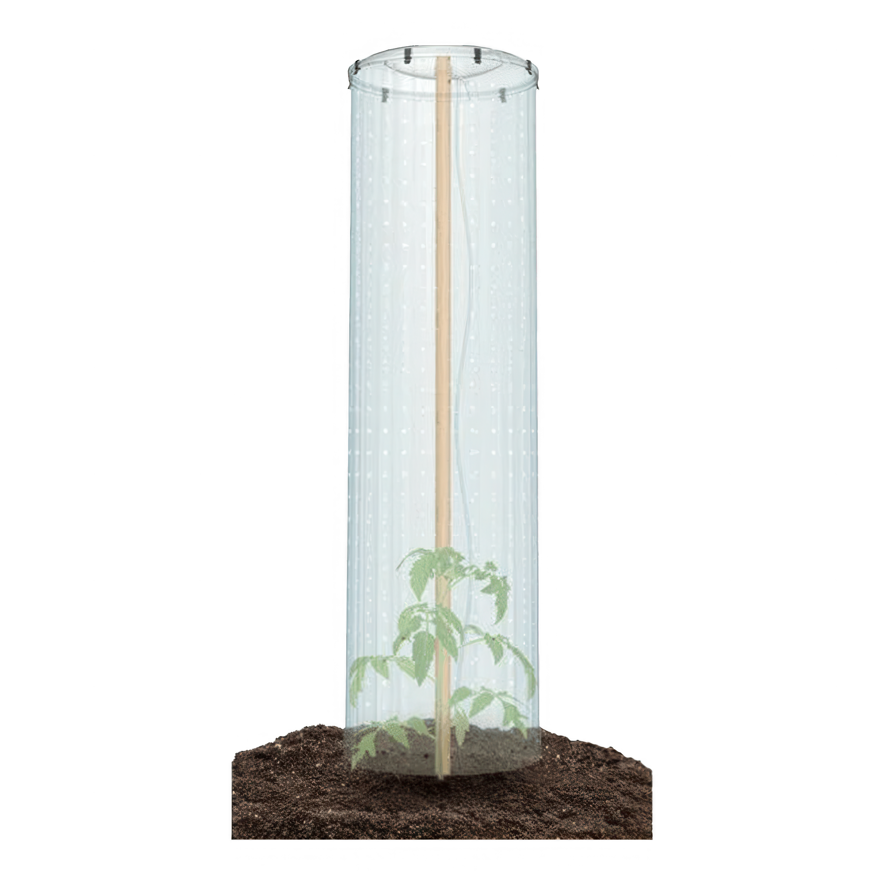 PROSPERPLAST Capac pentru cultivarea tomatelor - PROSPERPLAST