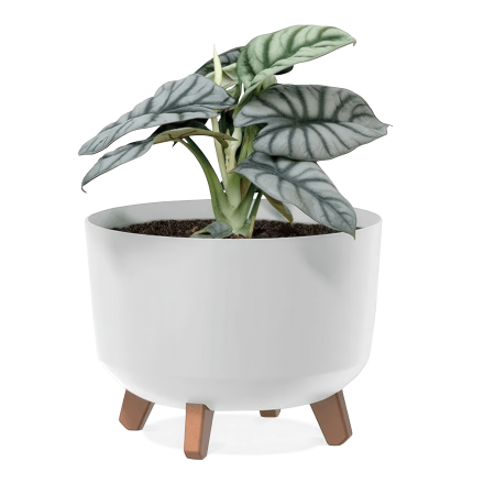 Gracia Ghiveci cu picioare standard 39x39x27cm alb - PROSPERPLAST