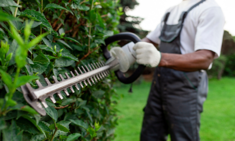 pracownik ogrodniczy w mundurze tnie krzaki,
